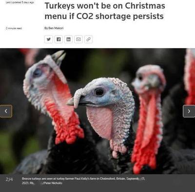 英国这个圣诞节可能没有火鸡吃